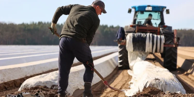 Wchodzi Mercosur. Polski biznes bez entuzjazmu. Zyski widzą dwie branże