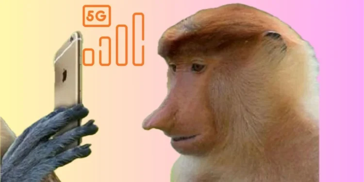 Jest sposób na darmowy internet w telefonie. Oto jak go aktywować