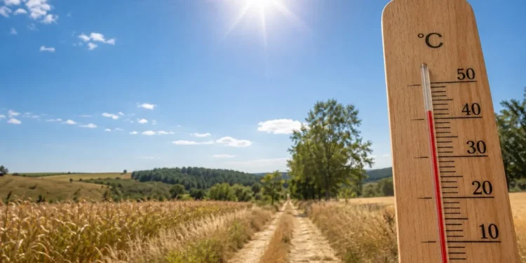 Do Polski dotarły upały. Wraz z nimi festiwal chłopskiego rozumu