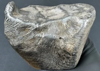 Niesamowite znalezisko pod Łodzią. Z nieba spadło 3 kg kosmicznego żelaza