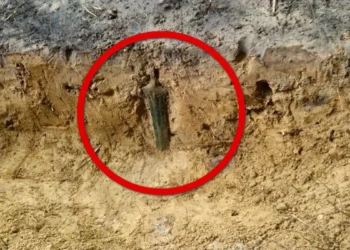 Niezwykłe odkrycie w lesie. Skarb czekał pod ziemią 3000 lat