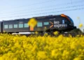 Szalone promocje w Leo Express. Bilet za 8 zł to patologia czy dowód na drożyznę PKP?