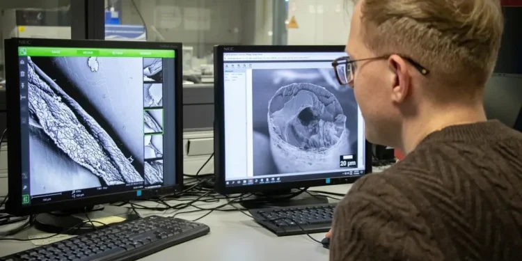 Polacy skopiowali futro niedźwiedzia polarnego. Stworzyli przełomowe nanowłókna