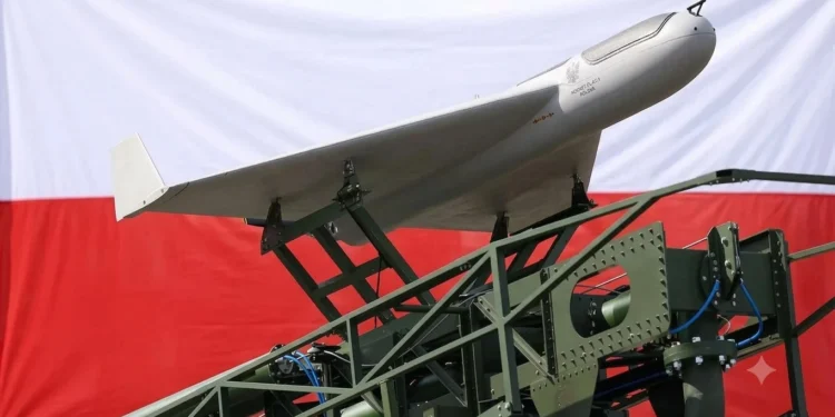 Polski Shahed nadchodzi. Rusza masowa produkcja dronów Hornet