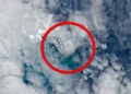 Satelity NASA zaobserwowały przerażające zjawisko. „Morze pachnie jak spalony metal”