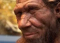 Sensacja w polskiej jaskini. Zęby zmieniają wszystko, co wiedzieliśmy o neandertalczykach