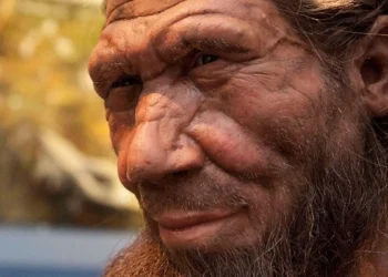 Sensacja w polskiej jaskini. Zęby zmieniają wszystko, co wiedzieliśmy o neandertalczykach