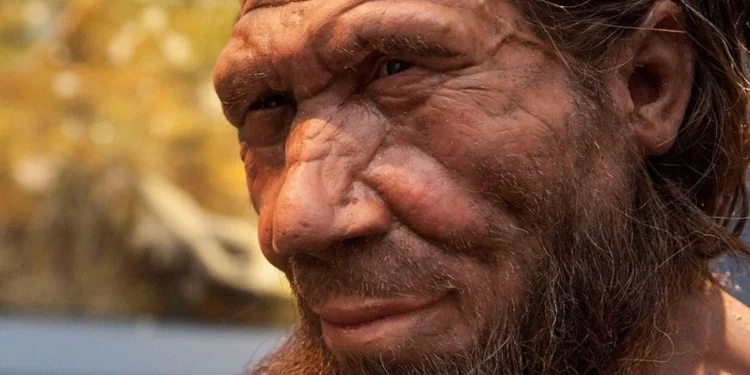 Sensacja w polskiej jaskini. Zęby zmieniają wszystko, co wiedzieliśmy o neandertalczykach