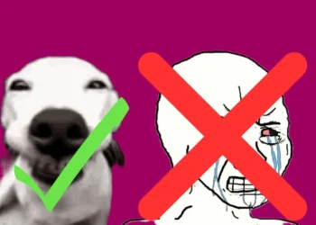 Nie zapłaczesz podczas płacenia rachunków. Abonament właśnie staniał