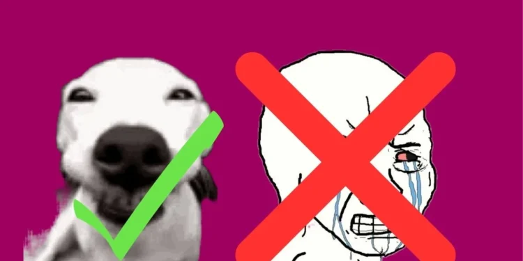 Nie zapłaczesz podczas płacenia rachunków. Abonament właśnie staniał