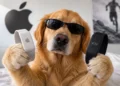 Tydzień bez ładowarki zamiast jednego dnia? Nowego gadżetu Apple'a nikt się nie spodziewał