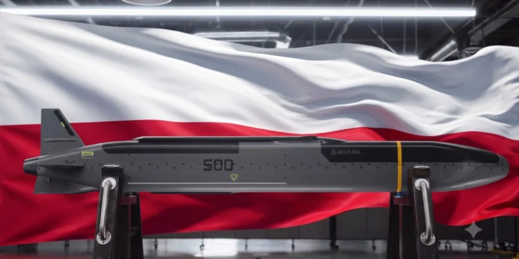Polska wyprodukuje pociski o zasięgu 900 km. Szkoda, że diabeł tkwi w szczegółach