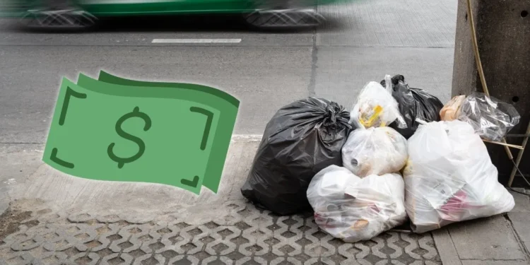 Berlin zapłaci ci za sprzątanie śmieci. Polska powinna brać przykład