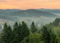 „Zobaczą” Bieszczady bez użycia wzroku. Przełomowy projekt otwiera góry dla każdego