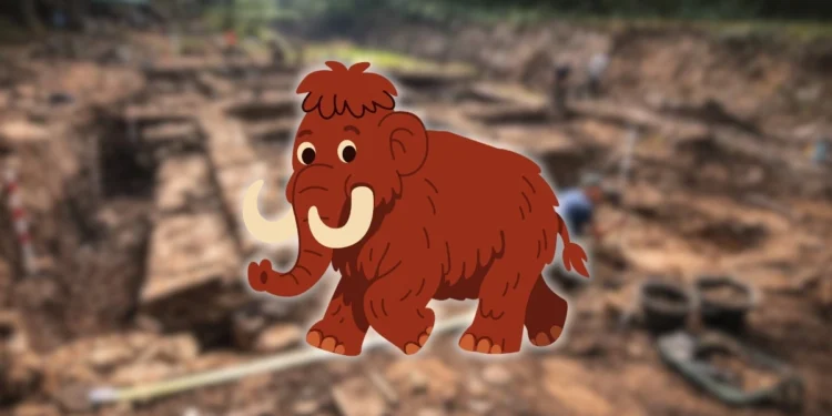 Sto tysięcy zabytków na budowie S17. „Ekspresówka odsłoniła historię”