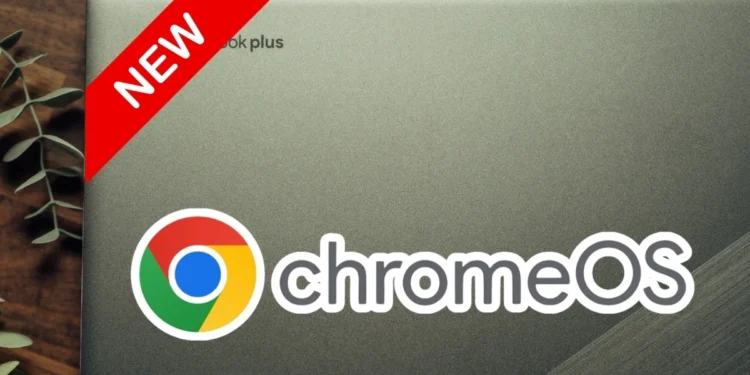 Google za darmo ulepszy laptopy. Nie trzeba wydawać ponad 5000 zł