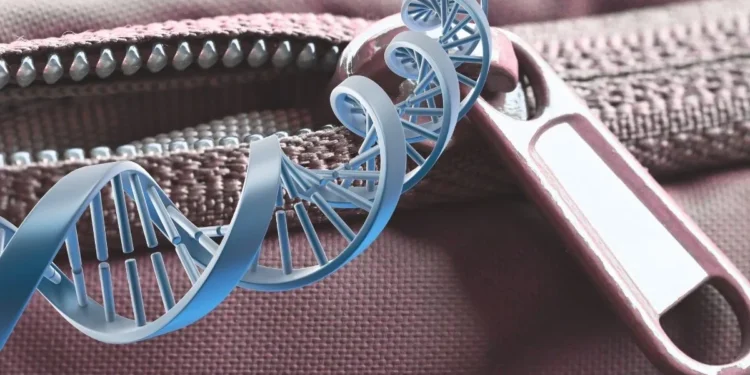 DNA robi z siebie zamek błyskawiczny. Pierwszy raz to zobaczyli