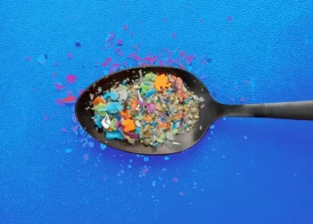Plastik wpływa, czysta woda wypływa. Filtr genialny w swej prostocie