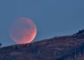 Dwa zaćmienia i deszcz meteorytów. Wyjątkowy sierpień na polskim niebie