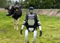 Najsłynniejszy robot w Polsce wywołał burzę w Sejmie. „To może być chiński szpieg”