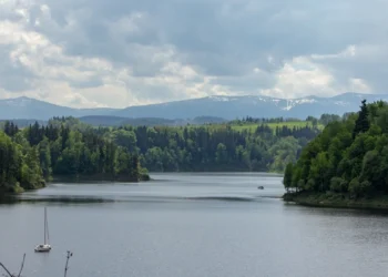 Woda z Jeziora Pilchowickiego spuszczona. Apokaliptyczny widok