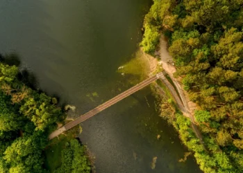 Chcą uratować polskie jezioro przed inwazją. Na dnie rozłożą specjalną tarczę