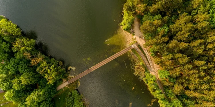 Chcą uratować polskie jezioro przed inwazją. Na dnie rozłożą specjalną tarczę