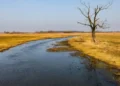 Czeka nas 5 lat klimatycznego piekła. Liczby, które trudno zignorować