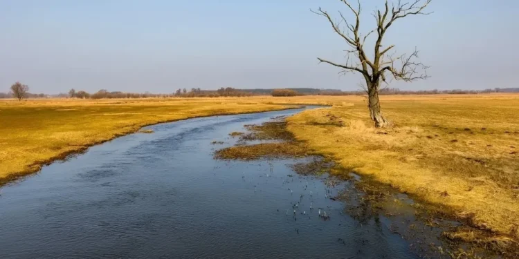 Czeka nas 5 lat klimatycznego piekła. Liczby, które trudno zignorować