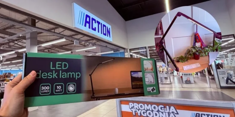 Hit z Action za 29,99 zł. Odmieni twoje biurko za grosze