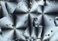 NASA chce plastiku na Księżycu. Wyprodukują go bakterie