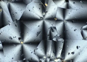 NASA chce plastiku na Księżycu. Wyprodukują go bakterie