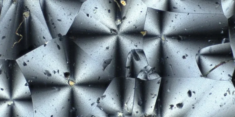 NASA chce plastiku na Księżycu. Wyprodukują go bakterie