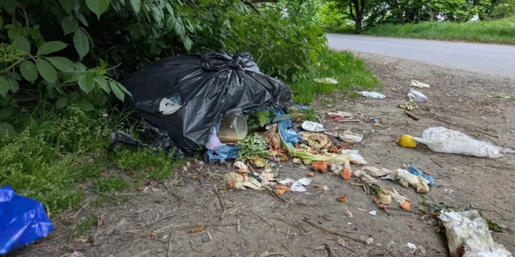 Wyrzucasz śmieci na lewo? Uśmiechnij się, jesteś w ukrytej kamerze