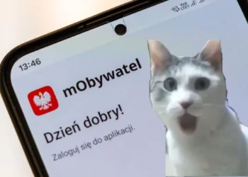 mObywatel rozwalił system. W końcu rejestracja bez wizyty w urzędzie