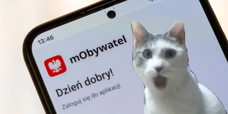 mObywatel rozwalił system. W końcu rejestracja bez wizyty w urzędzie