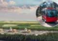 Budują pierwszą polską elektrownię jądrową, więc zawiozą ludzi na plażę. I to jak