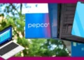Polacy czekali na zakupy online w Pepco. Dostali, ale coś dziwnego