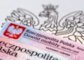 Co z naszymi PESEL-ami i danymi? „Jedno jest pozytywne”