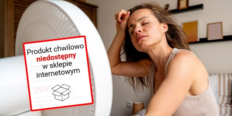 Polacy rzucili się na wentylatory. Sklepy mówią, co schodzi najlepiej