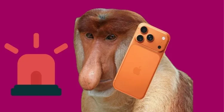 Polak blokował numer alarmowy 112. Wkurzał służby przez rok ze środka lasu