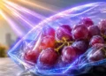 Mikroplastik dostał drugie życie. Powstała folia blokująca UV