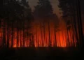 Pożar pożera Puszczę Solską. Samolot gaśniczy spadł podczas akcji