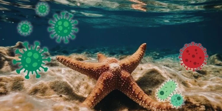 Wyglądają zdrowo, a umierają. Odkryli mechanizm podmorskiej makabry