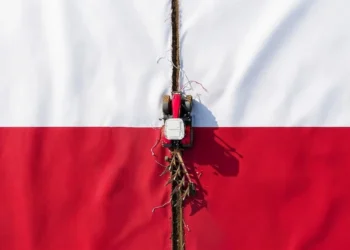 Rolnik zaorał asfalt i podzielił Polaków. Przerażające studium naszej polaryzacji
