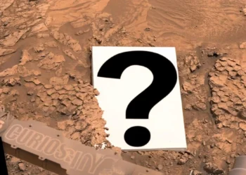 Znaleźliśmy rybie łuski na Marsie. Co u licha