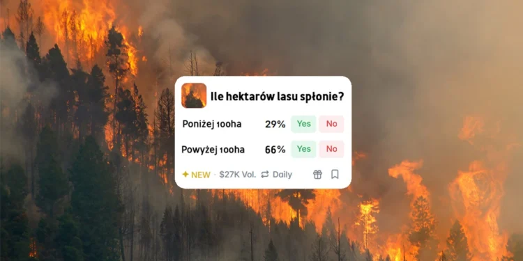 Ludzie obstawiają katastrofy klimatyczne. Chory trend w internecie