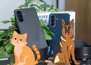Samsung Galaxy jak weterynarz. Robisz zdjęcie kota i wszystko wiadomo