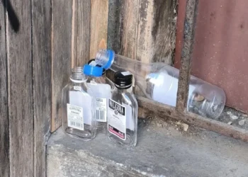 Kłócą się o małpki, a tu trzeba działać. „Mogliśmy uniknąć tego śmietniska”