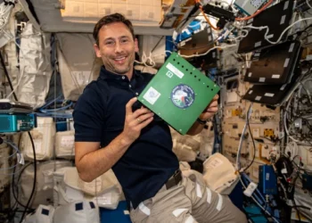 Organizmy z polskiego eksperymentu wpadły w szał. Zyskały tam „supermoce”